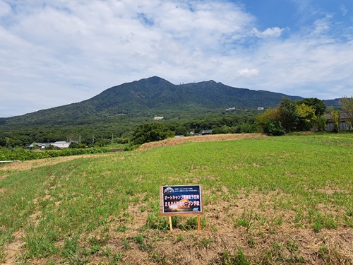 キャンプ場建設予定地