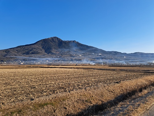 筑波臼井地区の野焼き
